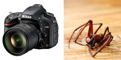 The Nikon D600, left, and a photo taken on the Sony Cyber-shot RX1. Photos / Juha Saarinen